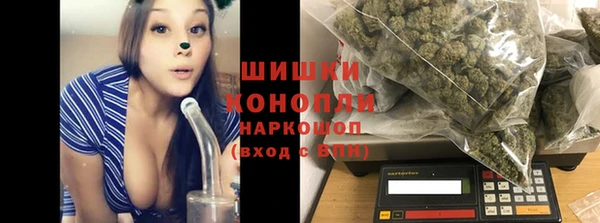 МДПВ Богородицк
