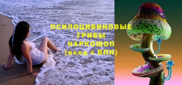 МДПВ Богородицк