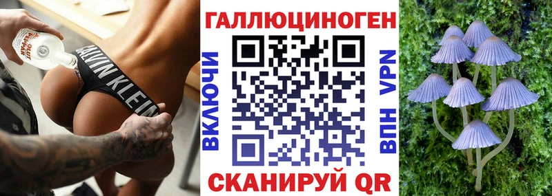 Псилоцибиновые грибы Psilocybine cubensis  магазин продажи   Невель 